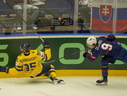 Czech Republic Ice Hockey Worlds