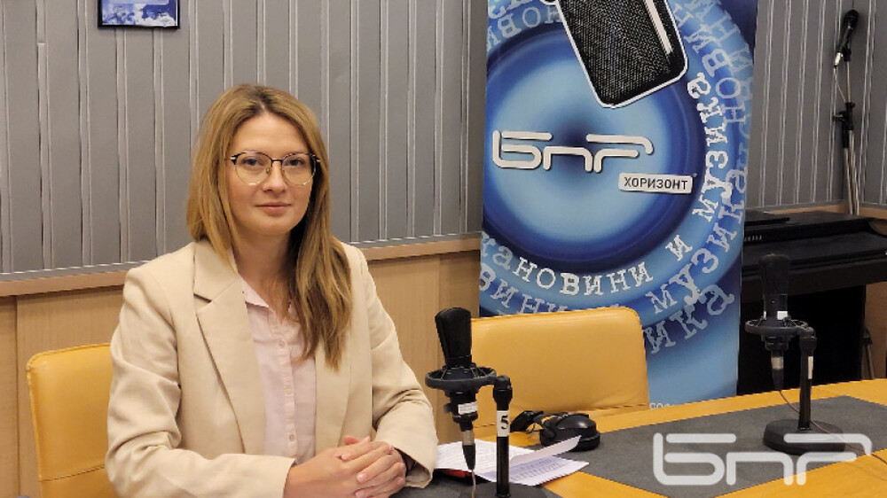 Цветелина Пенкова: Свръхпечалбите на някои електроцентрали да се използват за подпомагане на домакинствата и индустрията