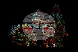 Фестивал на светлините LUNAR