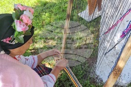 Село Царевец - Фестивал на добруджанския фолклор