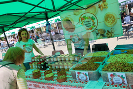 Благоевград - Занаят фест