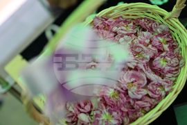 Благоевград - Занаят фест