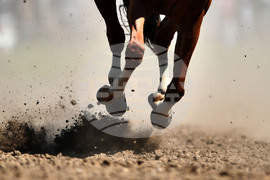 Село Севар - конни надбягвания - кушии