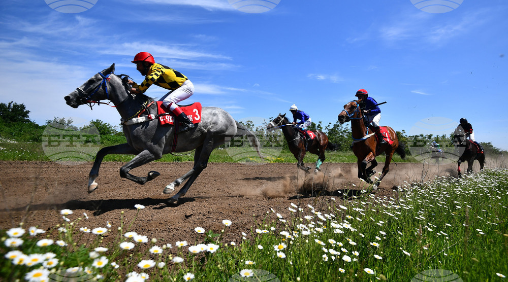Село Севар - конни надбягвания - кушии