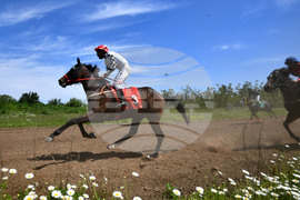 Село Севар - конни надбягвания - кушии