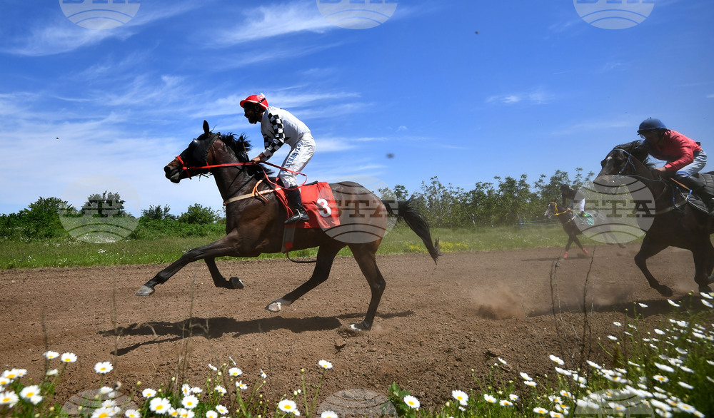 Село Севар - конни надбягвания - кушии