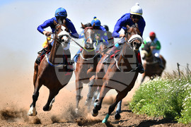 Село Севар - конни надбягвания - кушии