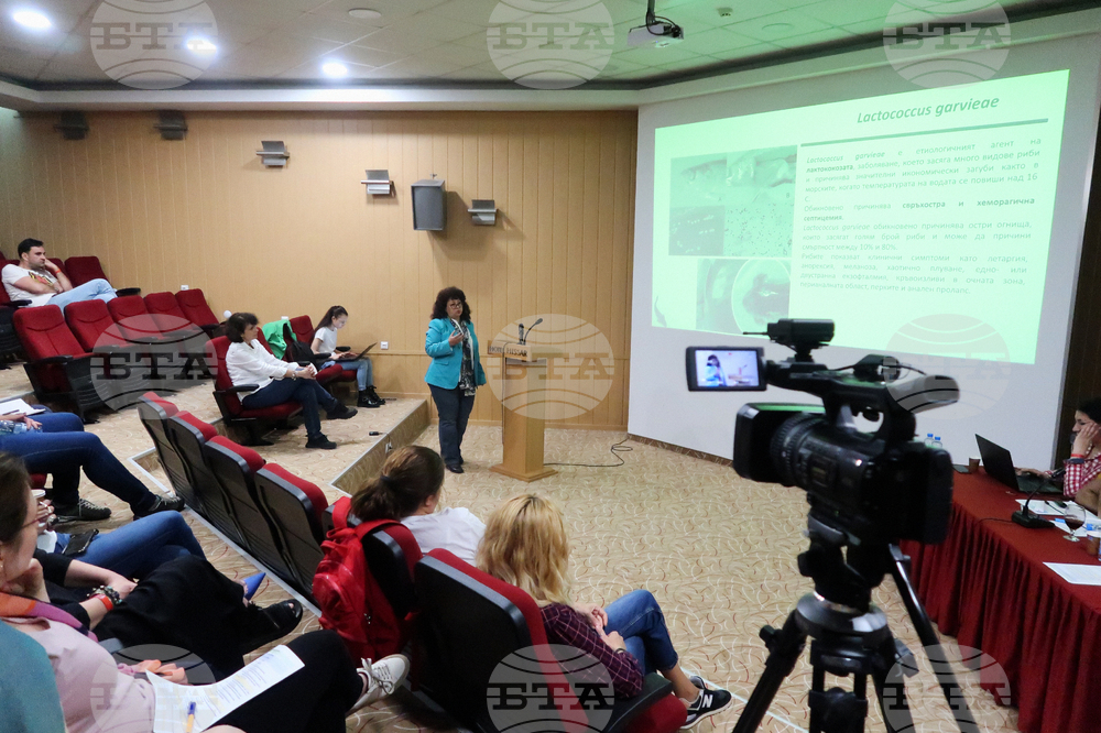 Хисаря - Национална антарктическа експедиция - отчет