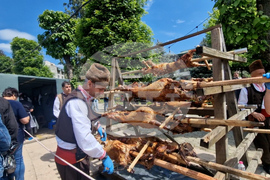 Златоград - Празник на златоградското чеверме
