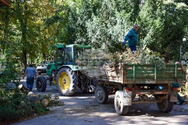 Гоце Делчев - парк - разчистване - буря