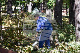 Гоце Делчев - парк - разчистване - буря