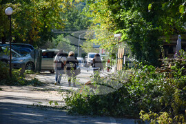 Гоце Делчев - парк - разчистване - буря