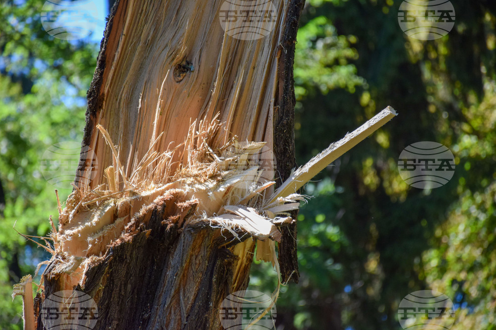 Гоце Делчев - парк - разчистване - буря