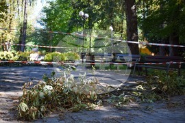 Гоце Делчев - парк - разчистване - буря