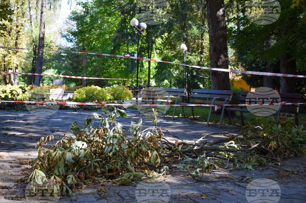 Гоце Делчев - парк - разчистване - буря