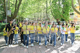 Вършец - духови оркестри - национален преглед