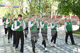 Вършец - духови оркестри - национален преглед