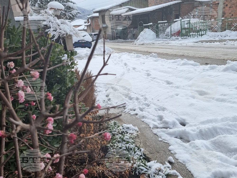 Weather Forecast: March 7