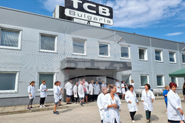 Видин - „Технически компоненти България“