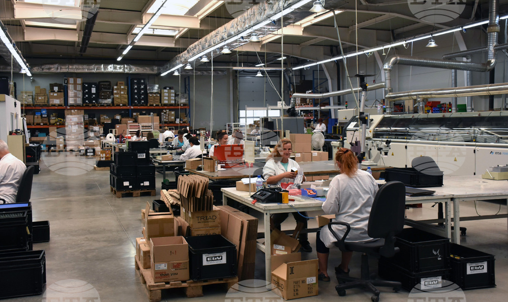 Видин - „Технически компоненти България“