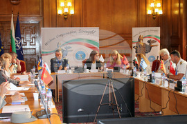  Координационен комитет  SEDM-CC - PMSC - заседание 