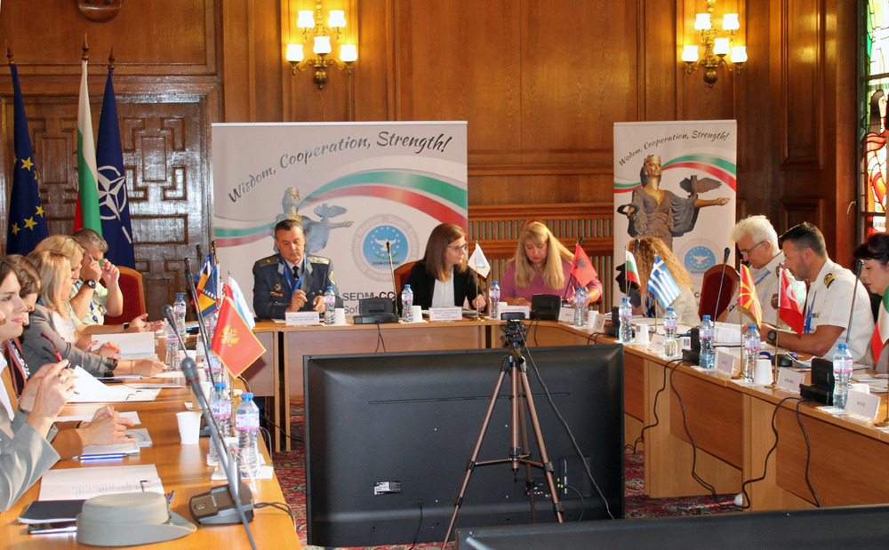  Координационен комитет  SEDM-CC - PMSC - заседание 