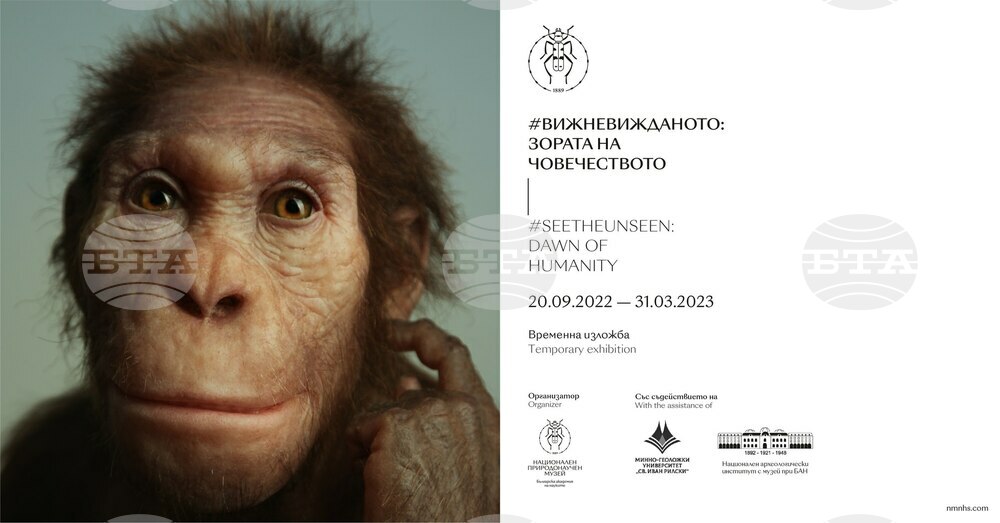 Natural History Museum Opens Temporary Paleoanthropological Exhibition