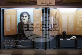 Национален природонаучен музей - изложба 