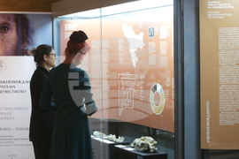 Национален природонаучен музей - изложба 