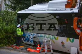 Автобус - пътно транспортно произшествие