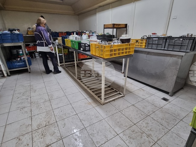 Плевен - социален патронаж - почистване