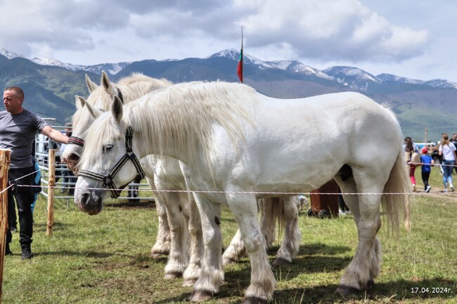 Община Банско: Фермери от Банско и Разлог организираха първокласна фермерска среща „Между три планини“
