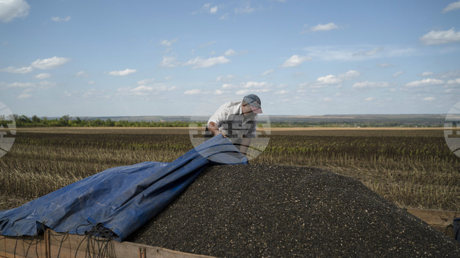 Украйна пренасочва икономиката си към ЕС, сочи доклад на австрийски институт 