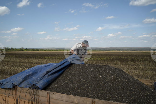 Украйна пренасочва икономиката си към ЕС, сочи доклад на австрийски институт 