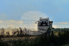 Село Богданци - прибиране на царевицата