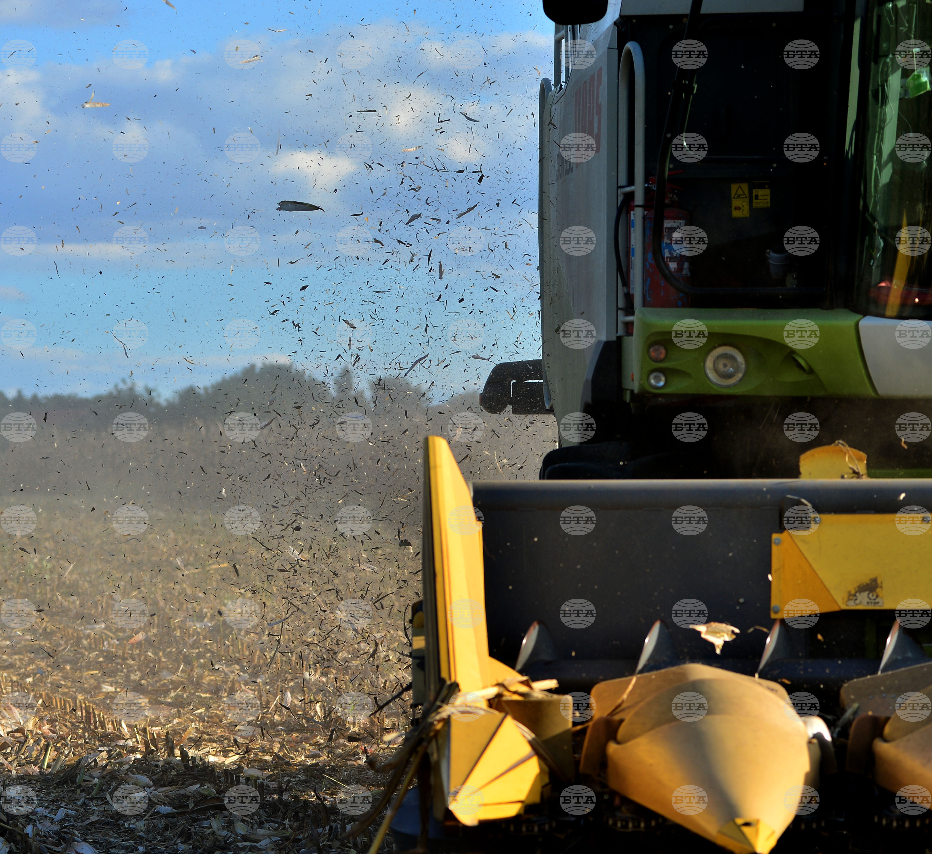 Село Богданци - прибиране на царевицата