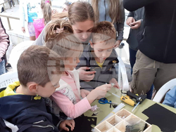 Снимка: Община  Ловеч - „Нощта на прилепите“ 