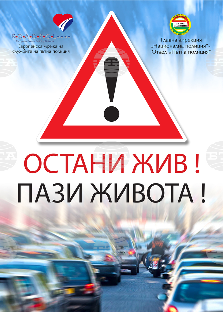 Община Видин призовава: „Остани жив! Пази живота!“