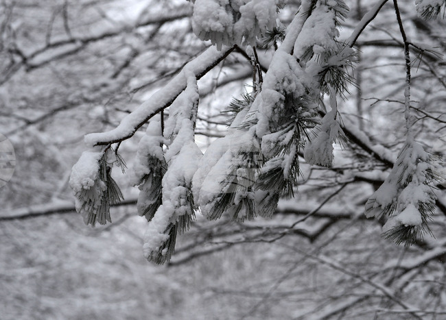 Община Дългопол обяви частично бедствено положение, в Долни чифлик децата са във ваканция до края на седмицата