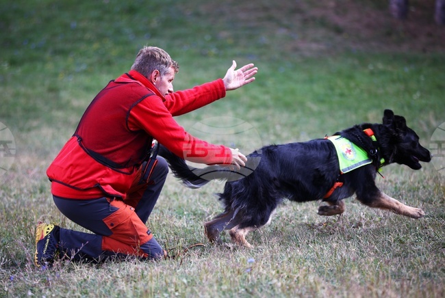 Обучени кучета търсят прилепи и бръмбари в Гърция
