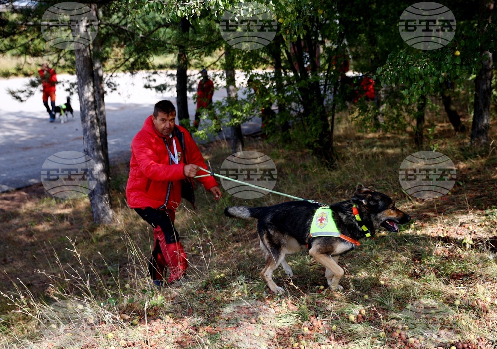 Планински спасители издирват млада жена в района на кв. "Бояна" и Витоша 