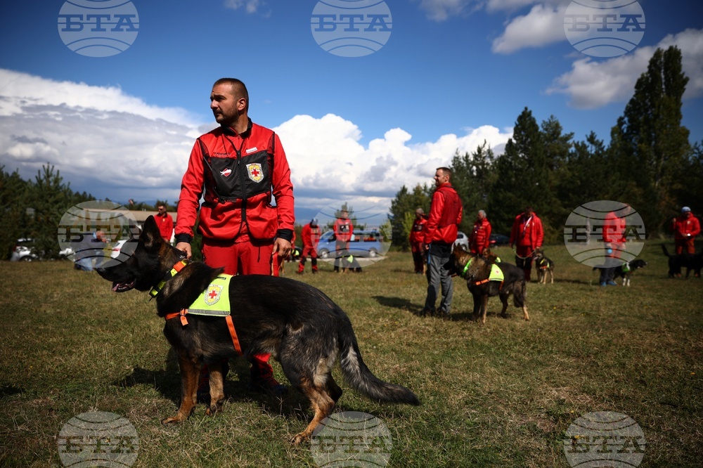 Bulgaria Is Among Leaders in Europe in Training of Rescue Dogs, says Expert
