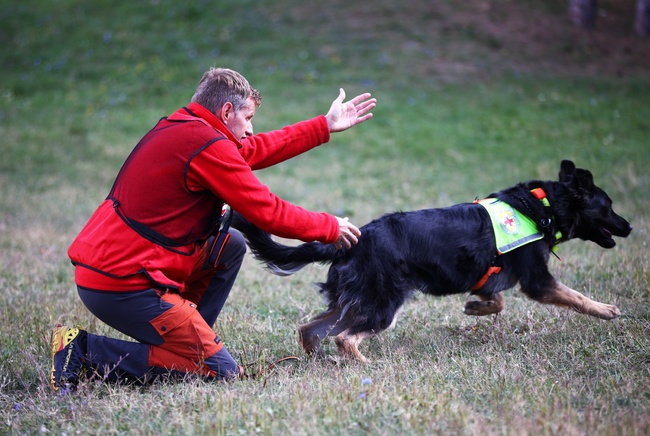 Rescue Dogs and Handlers Demonstrate Field Work Skills Finding Lost Persons