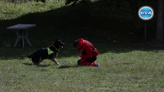 Кучета спасители и техните водачи демонстрираха техники и умения за търсене на изгубени хора