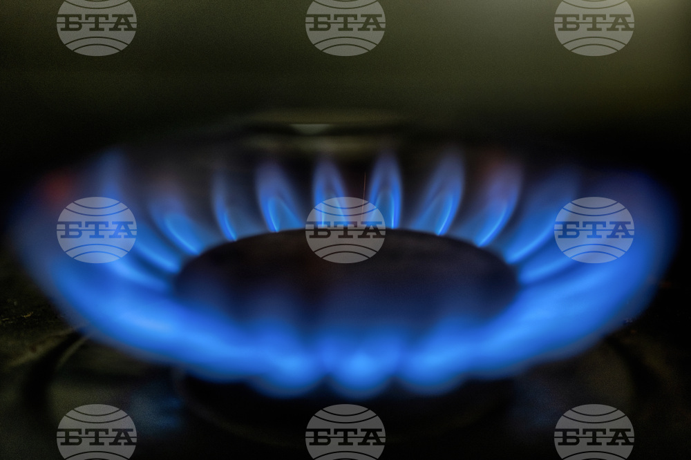 "Булгаргаз" иска природният газ за ноември да поскъпне с над 7 процента, пише в заявление на дружеството до КЕВР