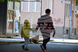 Благоевград - бездомни кучета