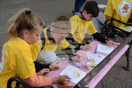 Видин - училища - интерактивни игри