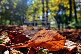 Астрономическа есен - есенни багри