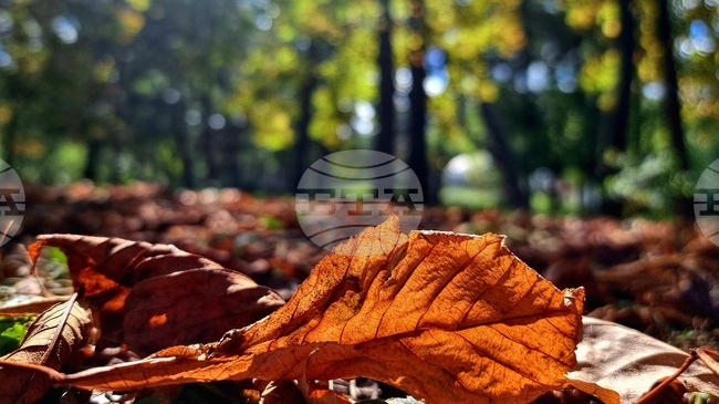 Прогноза за времето