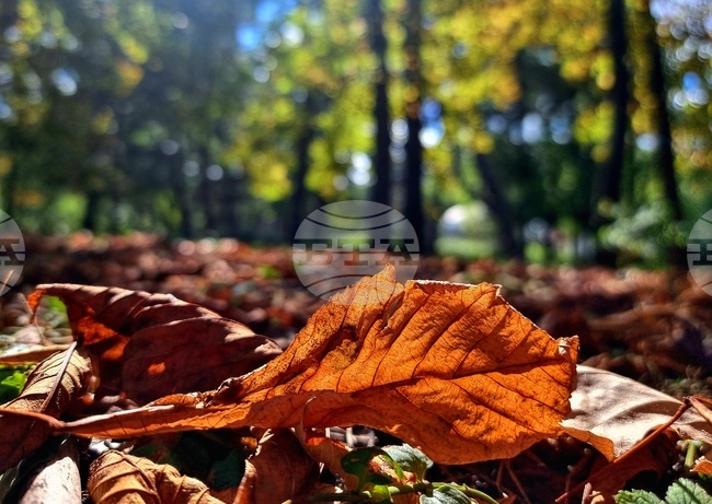 Прогноза за времето